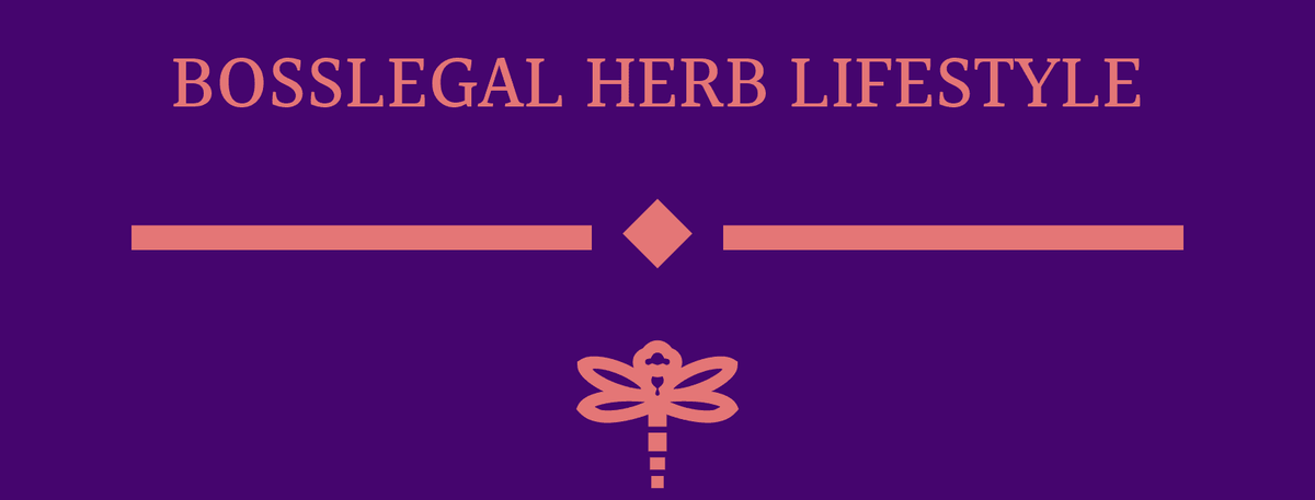 Blog About Latest Healing Products