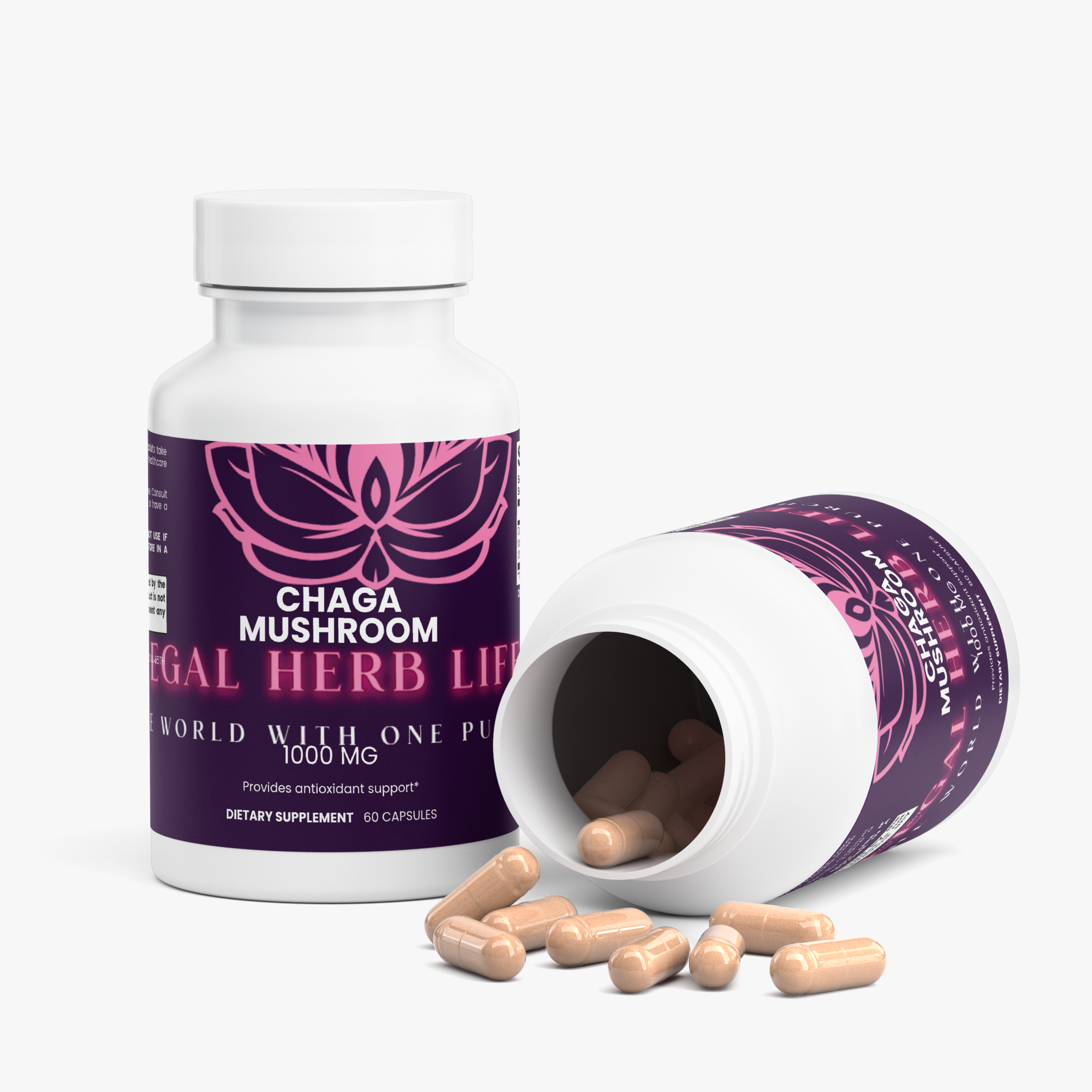 Chaga Mushroom